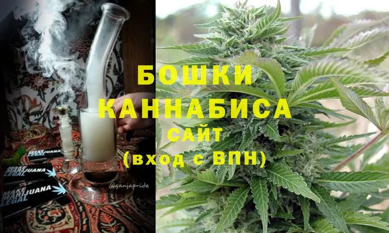 Каннабис Ganja  Новоузенск 